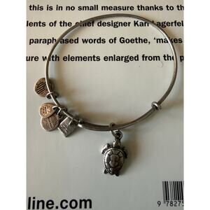 Alex and Ani Charity By Design Turtle Rafaelian Bangle Bracelet